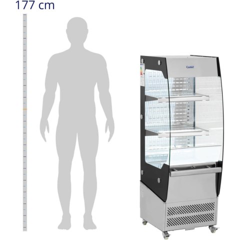 Witryna chłodnicza ekspozycyjna przeszklona LED 2 półki 180 l Witryna chłodnicza ekspozycyjna przeszklona LED 2 półki 180 l