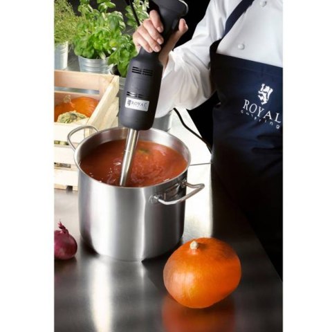 Mocny mikser blender robot ręczny dł. ramienia 400mm 500W 230V Royal Catering Mocny mikser blender robot ręczny dł. ramienia 400mm 500W 230V Royal Catering