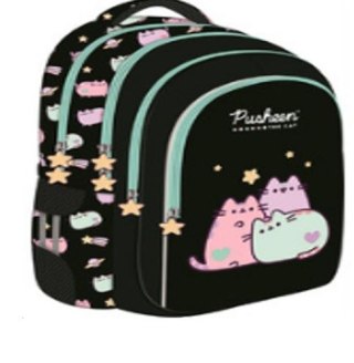 Plecak szkolny młodzieżowy czterokomorowy Pusheen 22L czarny