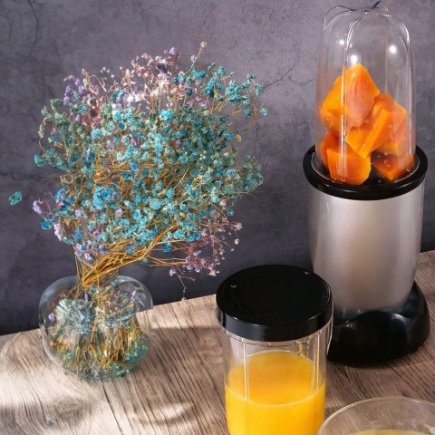 Blender kielichowy wielofunkcyjny 2 kubki 470 ml 600 W